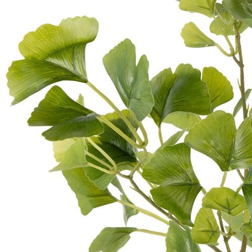 50cm Faux Gingko with Ceramic Vase