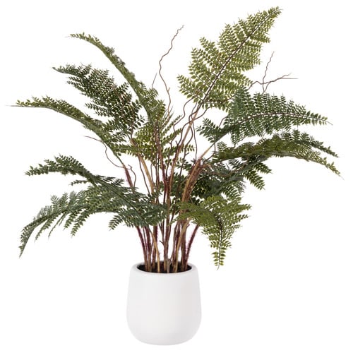 55cm Potted Faux Mountain Wood Fern