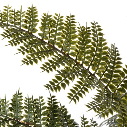 55cm Potted Faux Mountain Wood Fern