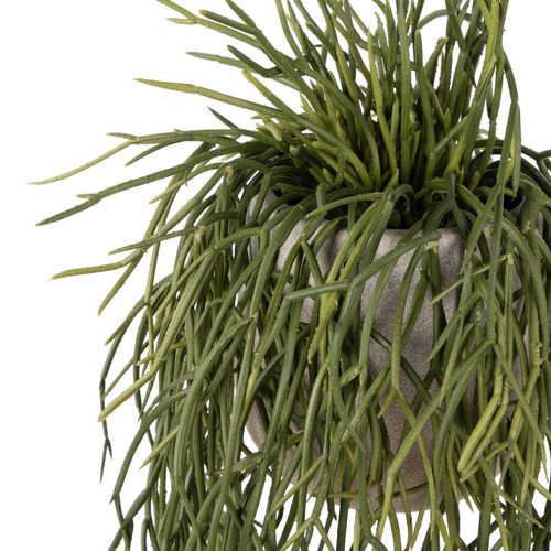 61cm Potted Faux Mistletoe Cactus Hanging Plant