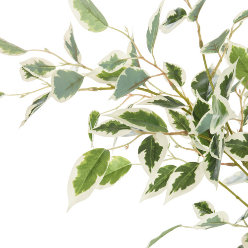 150cm Potted Faux Ficus Tree