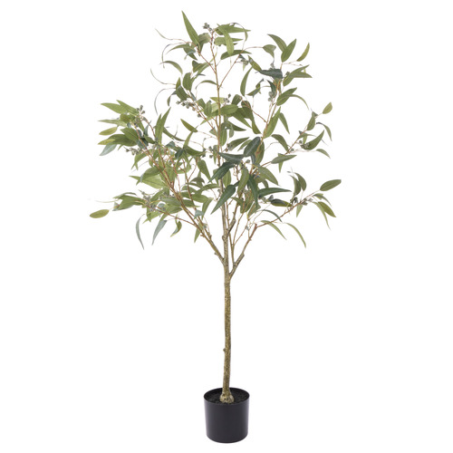 170cm Potted Faux Eucalyptus Gumnut Tree