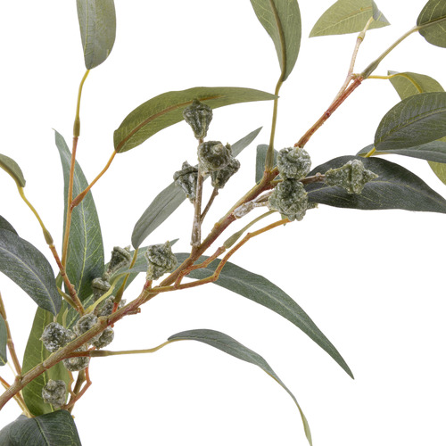 170cm Potted Faux Eucalyptus Gumnut Tree