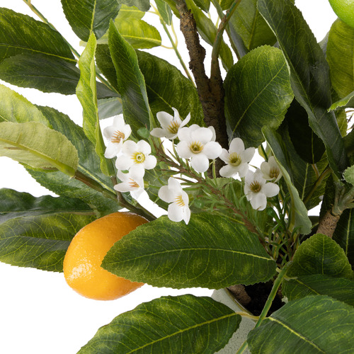46cm Faux Citrus Leaf Arrangement with Ceramic Pot
