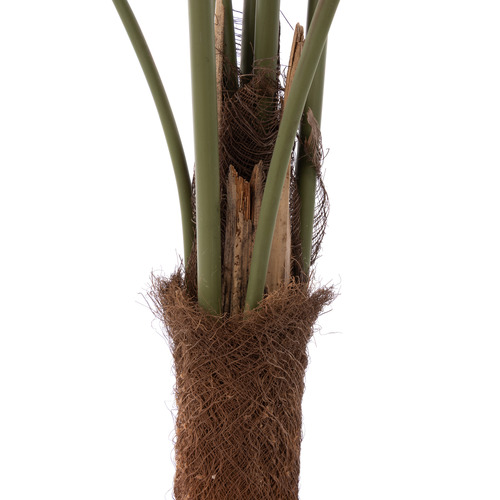 120cm Potted Faux Caryota Palm Tree