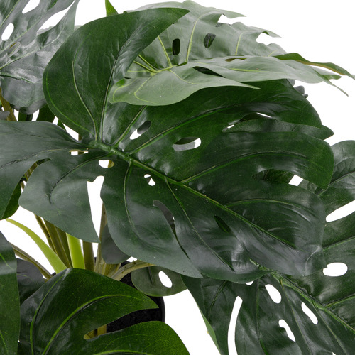 60cm Potted Faux Mostera Plant | Temple & Webster