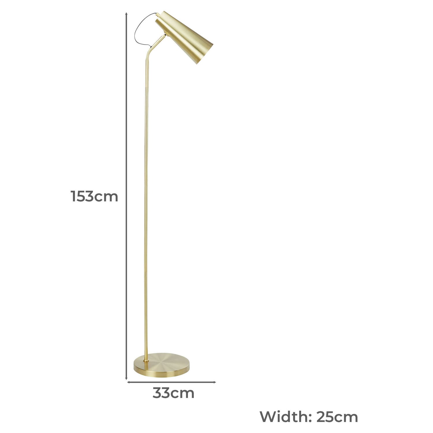 Midas Iron Floor Lamp