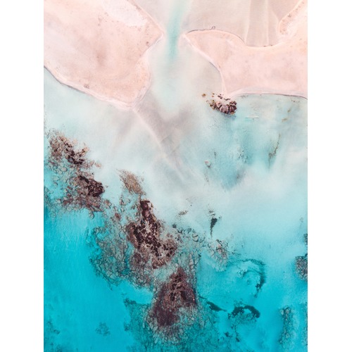 Natural Bliss Printed Wall Art