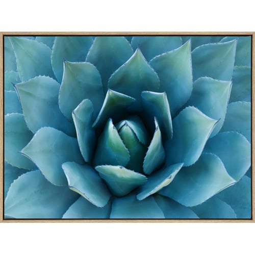 Bloom Of Love Drop Shadow Framed Canvas Wall Art