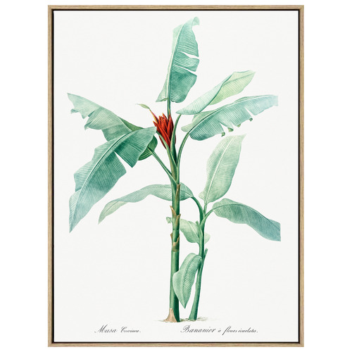 Banana Leaf Framed Canvas Wall Art Temple & ster