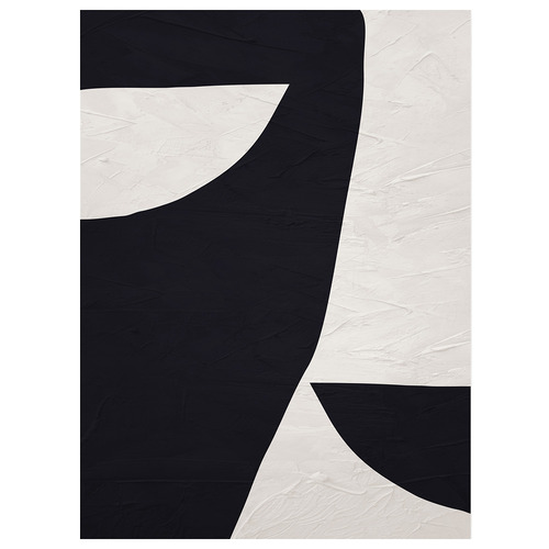 Shadow Dance Canvas Wall Art