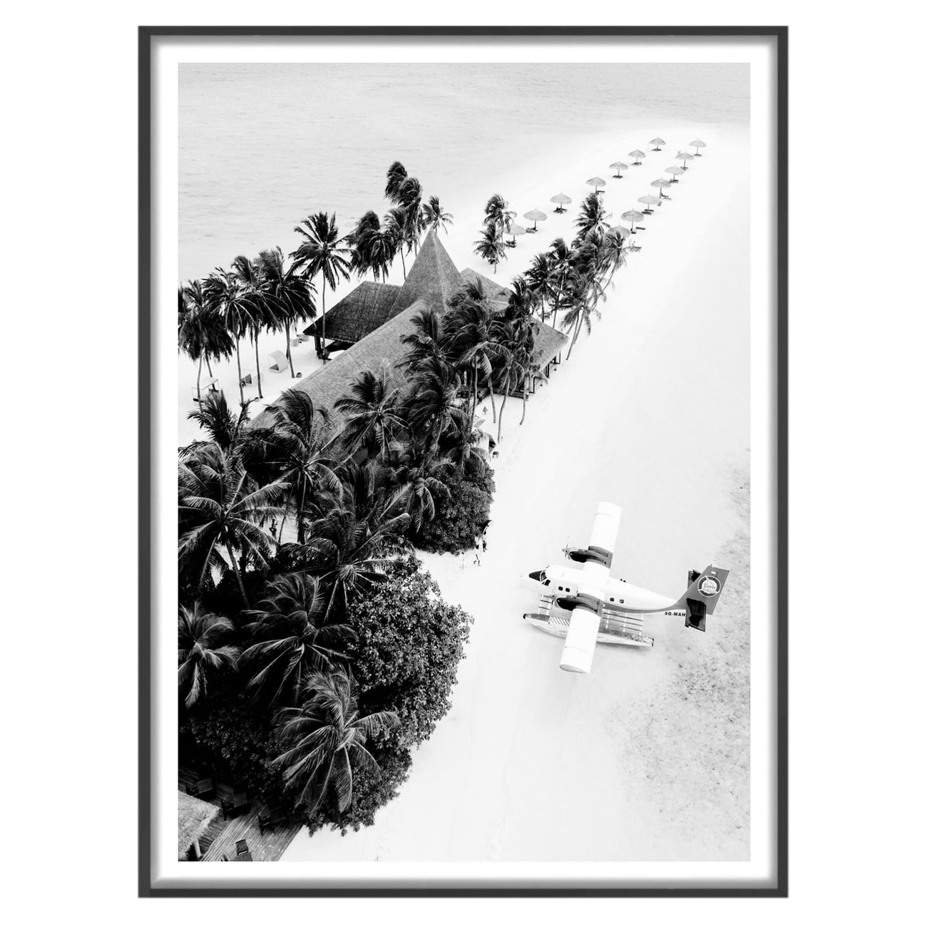 Take Flight Framed Paper Print Wall Art