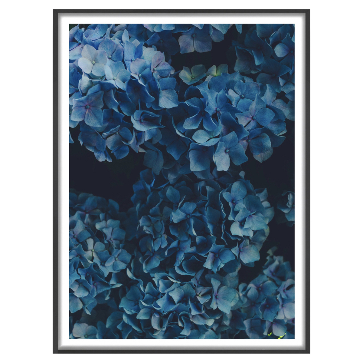 Hydra Love Framed Paper Print Wall Art