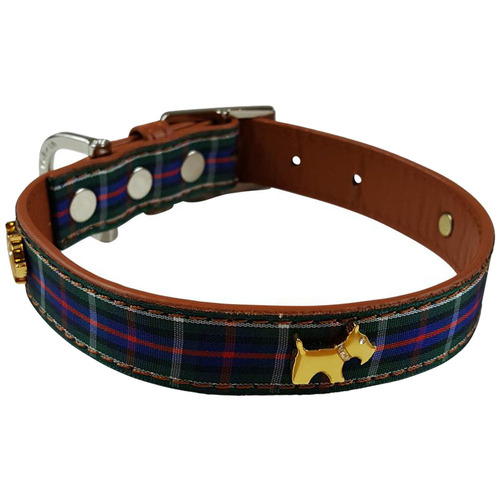blue plaid dog collar