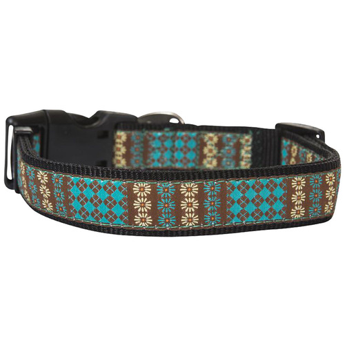 Hamish McBeth Aqua Swimming Dog Collar Temple & Webster