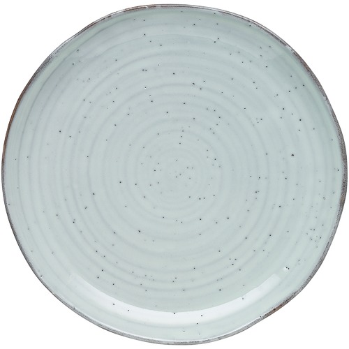 Ecology Lichen Ottawa Dinner Plates Temple & ster