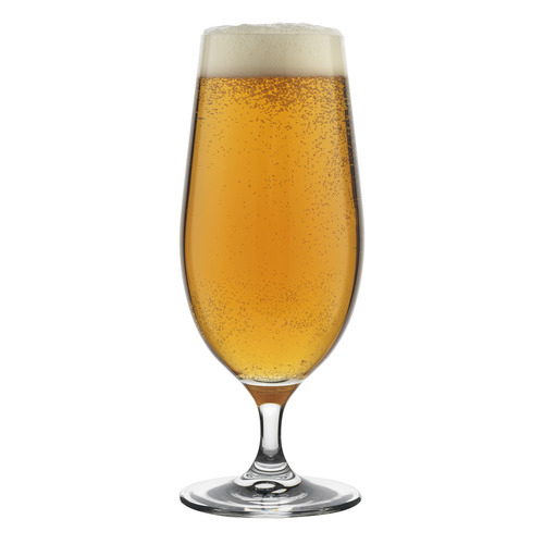 Ecology Clear 460ml Stem Beer Glasses | Temple & Webster