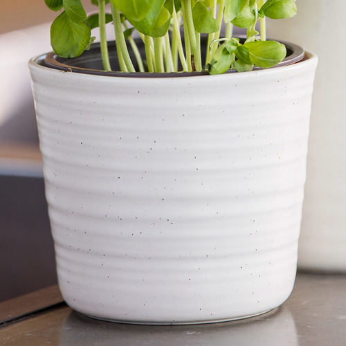 Ecology Ottawa Herb Plant Pots Temple & ster