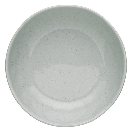 Duck Egg Speckle 15.5cm Stoneware Cereal Bowls Temple & ster