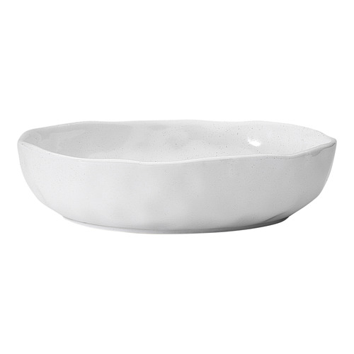 16 Piece Speckle Dinner Plate & Bowl Set