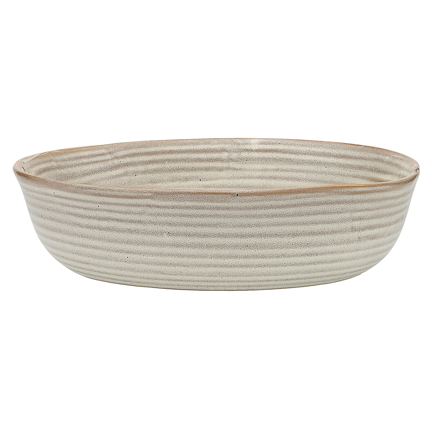 Barley Ecology Ottawa 22.3cm Stoneware Dinner Bowl