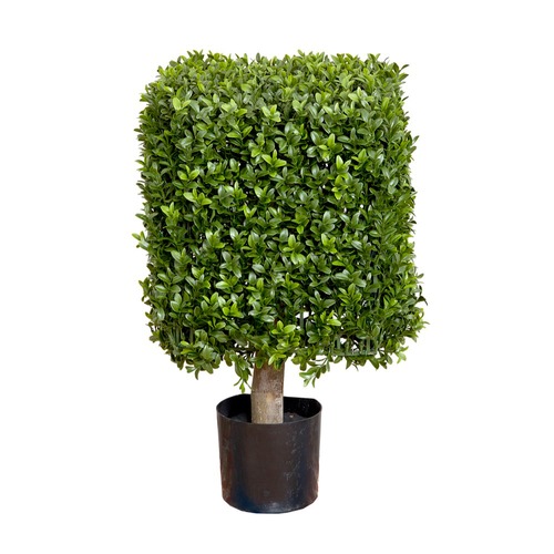 55cm Artificial Square Top Boxwood Plant Temple & ster
