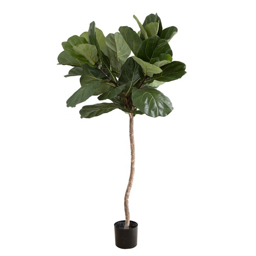 BayviewLiving 120cm Artificial Fiddle Leaf Tree | Temple & Webster