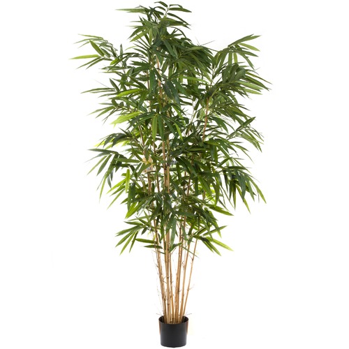 BayviewLiving 240cm Giant Faux Bamboo Tree | Temple & Webster