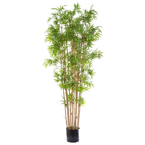 Japanese Faux Bamboo Tree