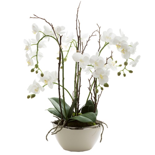 BayviewLiving 60cm White Real Touch Orchid with Pot | Temple & Webster