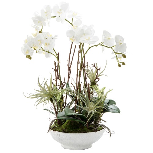 BayviewLiving 60cm Potted Faux Orchid & Fern | Temple & Webster