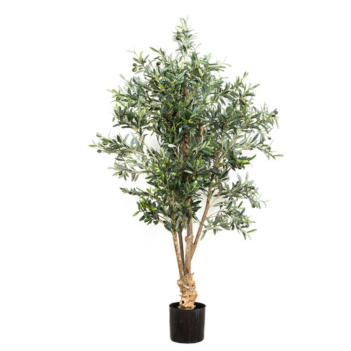150cm Paolo Faux Olive Tree
