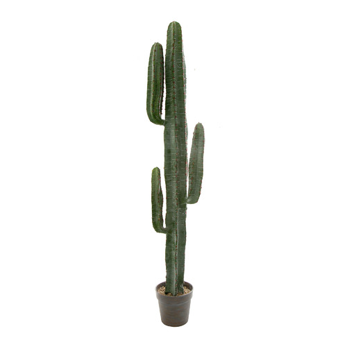 156cm Potted Faux Desert Cactus