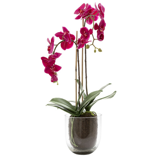 Faux Orchids with Glass Vase