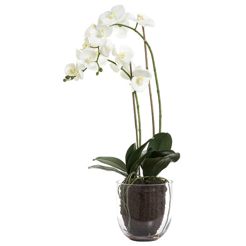 Faux Orchids with Glass Vase
