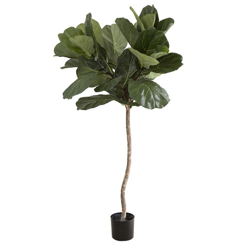 BayviewLiving 120cm Artificial Fiddle Leaf Tree | Temple & Webster