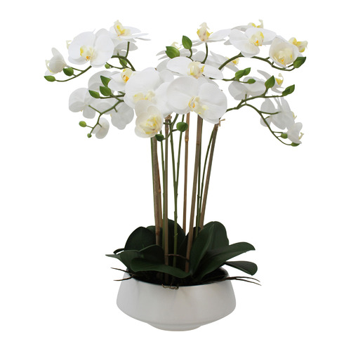 51cm White Potted Faux Orchid | Temple & Webster