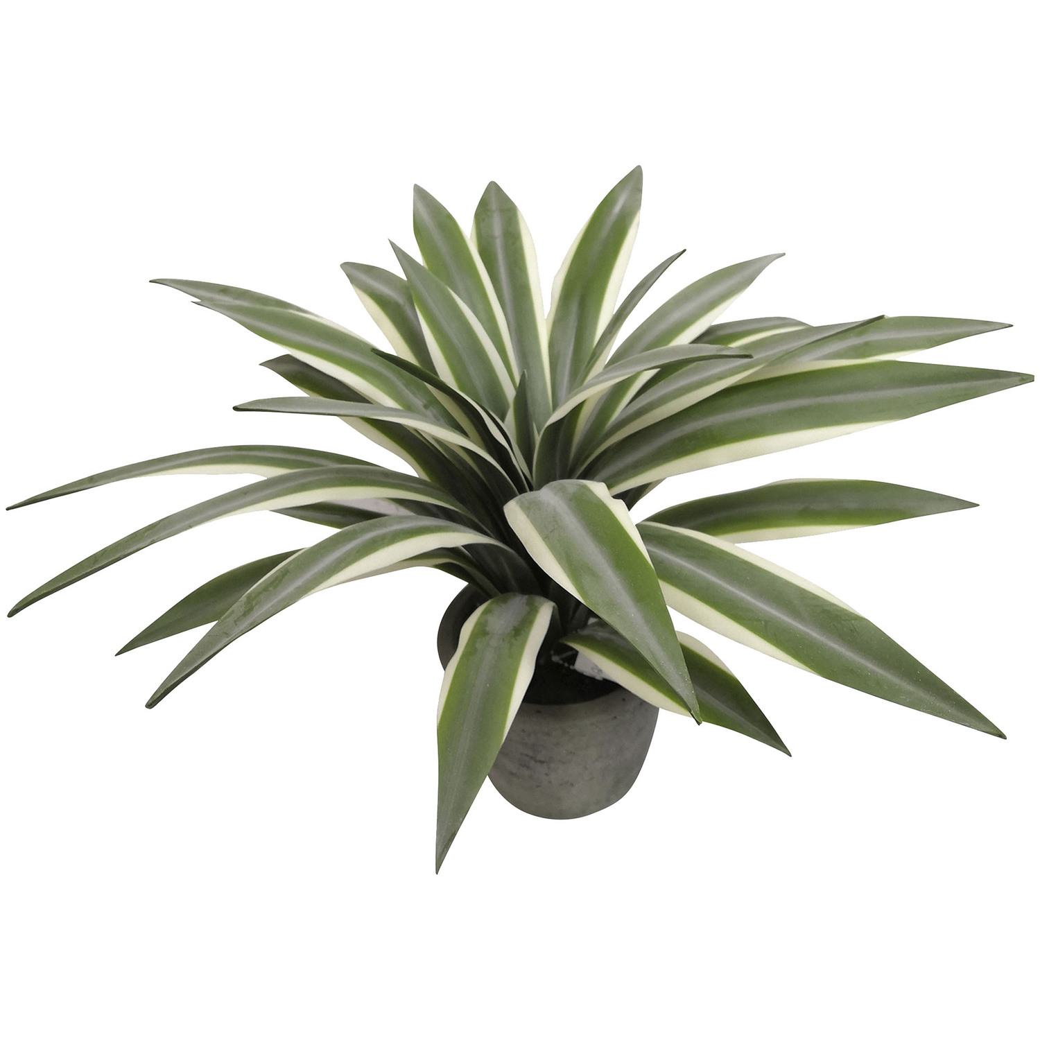 35cm Potted Faux Flax Leaf Plant