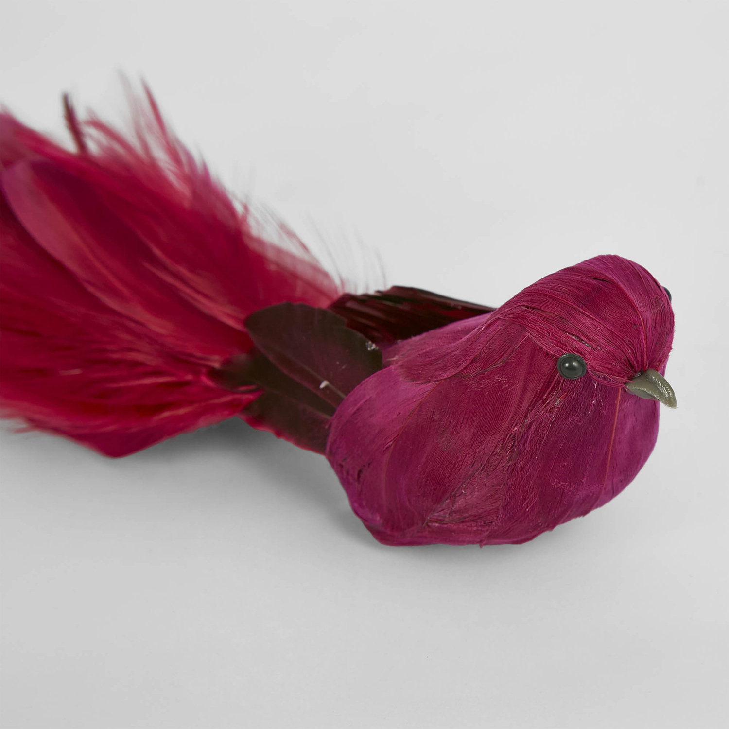 Feathered Bird Christmas Tree Clips