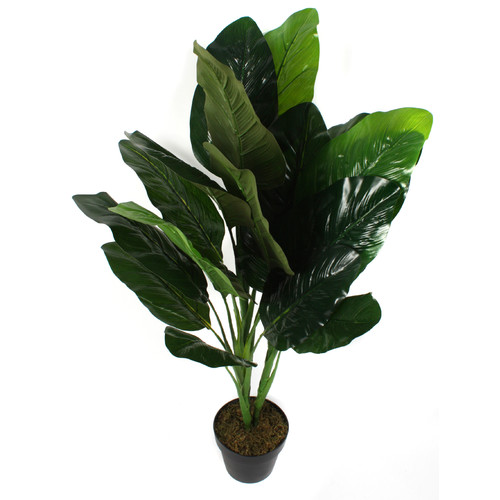 Lily & Pot Temple & ster