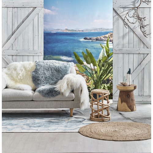 Silver Grey Natural Cowhide Rug