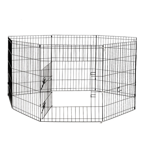 Collapsible Dog Cage with Tray Temple & Webster