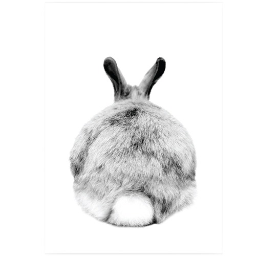 Set of 2 Mr Cottontail Unframed Paper Prints
