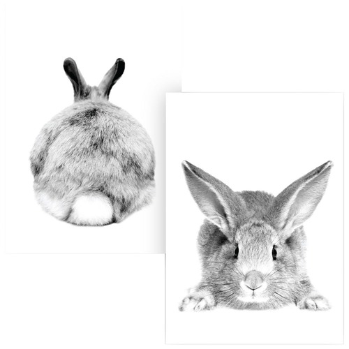 Set of 2 Mr Cottontail Unframed Paper Prints