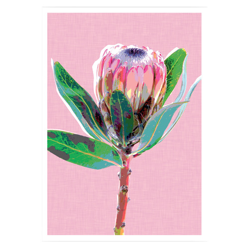 Protea Pink Printed Wall Art | Temple & Webster