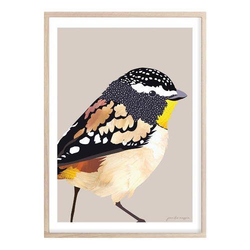 Spotted Pardalote Printed Wall Art