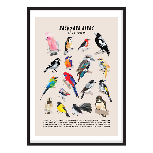 Backyard Birds Of Australia Printed Wall Art