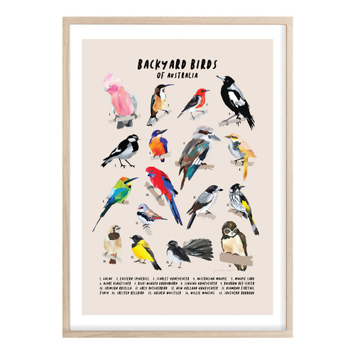 Campana Collective Backyard Birds Of Australia Printed Wall Art ...