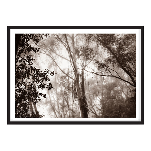 Campana Collective Ghost Gums Printed Wall Art | Temple & Webster