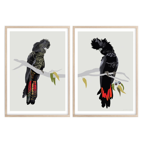 2 Piece Red-tailed Black Cockatoos Diptych Paper Print Wall Art Set